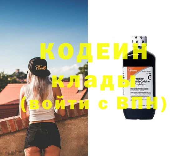 ПСИЛОЦИБИНОВЫЕ ГРИБЫ Ельня