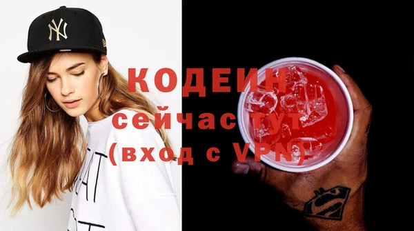 ПСИЛОЦИБИНОВЫЕ ГРИБЫ Ельня