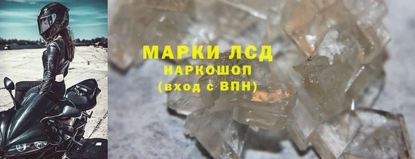 ПСИЛОЦИБИНОВЫЕ ГРИБЫ Ельня