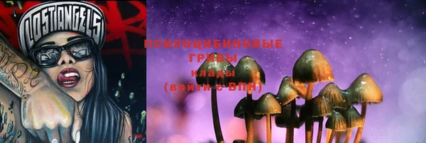 ПСИЛОЦИБИНОВЫЕ ГРИБЫ Ельня