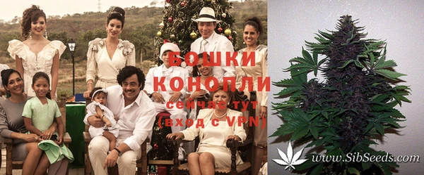 каннабис Елизово