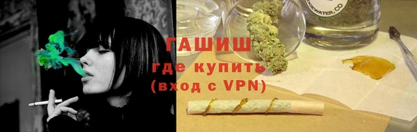 гидра Елабуга