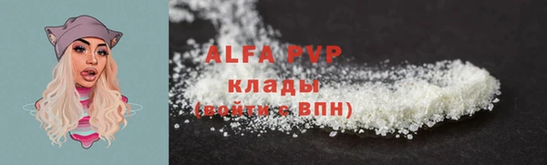 гидра Елабуга