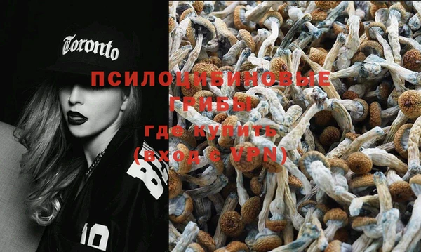ПСИЛОЦИБИНОВЫЕ ГРИБЫ Ельня