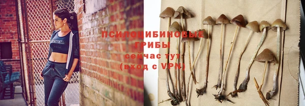гидра Елабуга