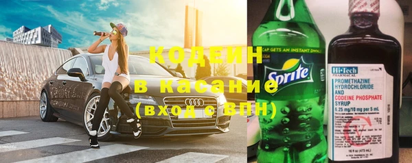 ПСИЛОЦИБИНОВЫЕ ГРИБЫ Ельня