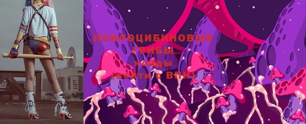 ПСИЛОЦИБИНОВЫЕ ГРИБЫ Ельня