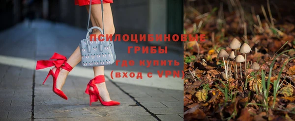ПСИЛОЦИБИНОВЫЕ ГРИБЫ Ельня