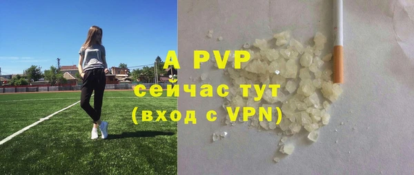 гидра Елабуга
